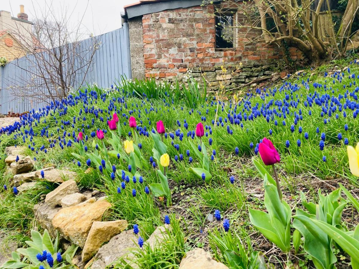Cosy Cottage Four Miles From Lincoln City Centre Екстер'єр фото